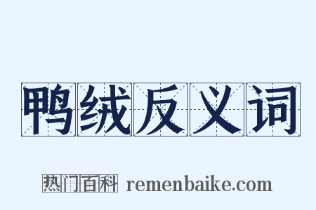 鸭绒反义词是什么意思的图片